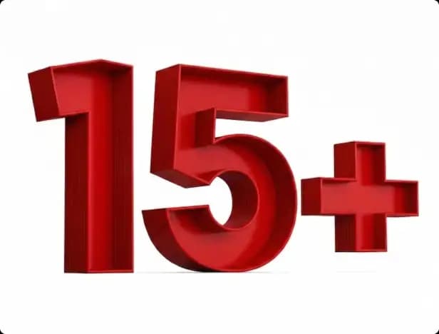 15+ Years of CX & BPM Excellence