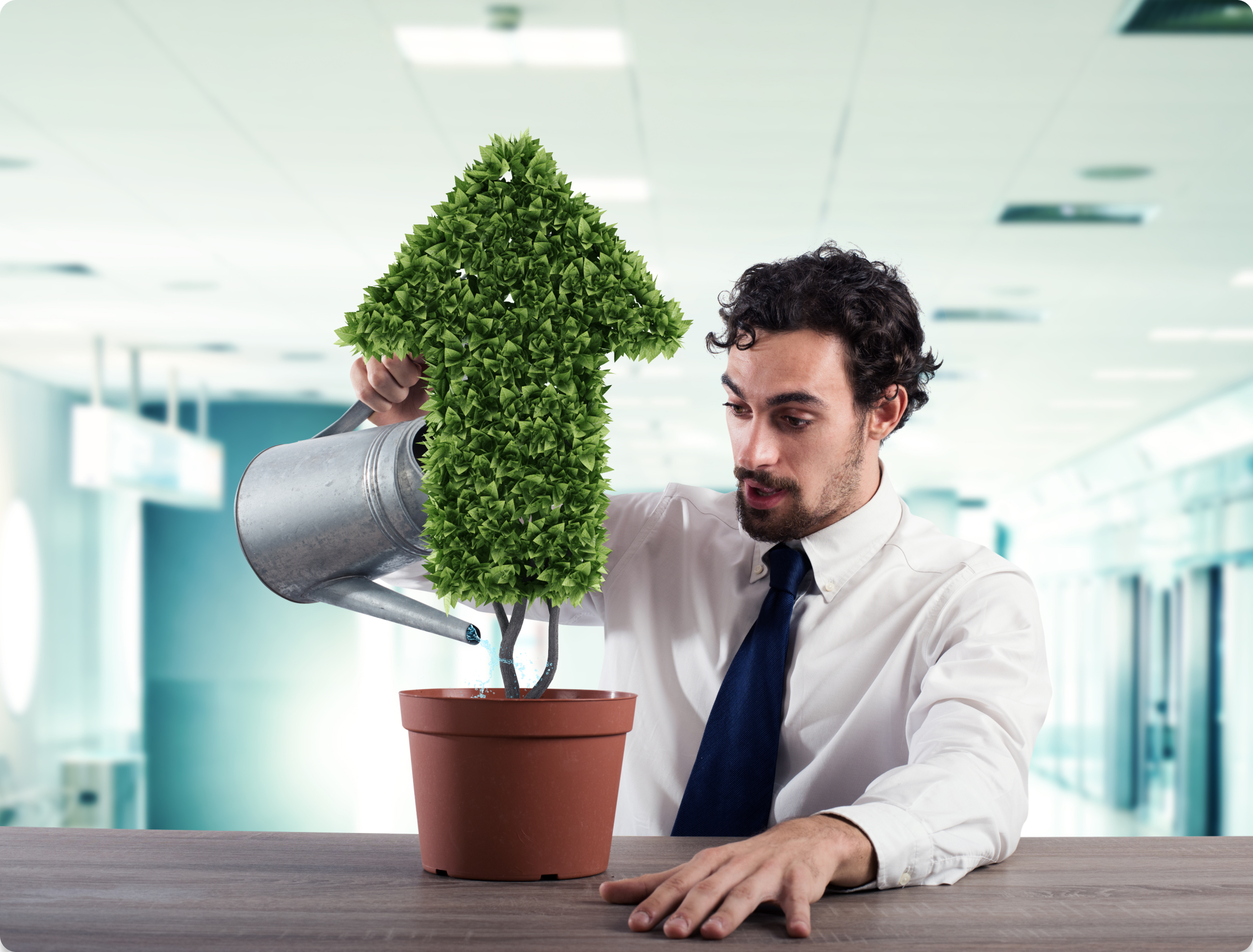 Global Reach, Local Expertise