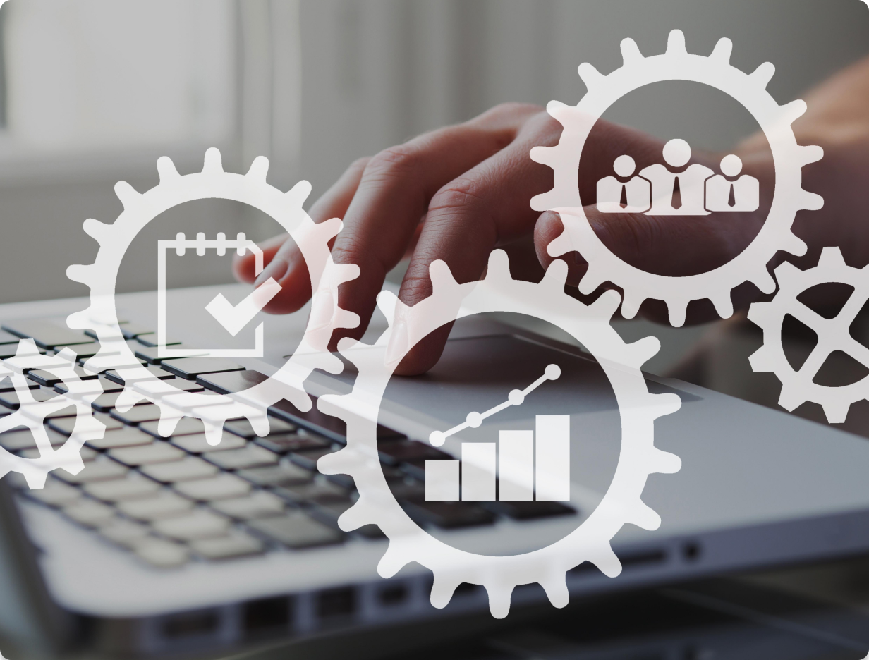 14+ Years of Domain Experience